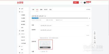 视频怎样添加头条号,视频内容如何巧妙融入头条号，打造爆款文章
