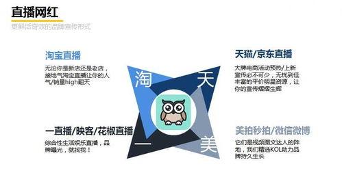 销售公司怎么做网红,策略与实操指南