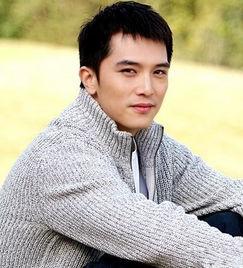 吴姓渣男明星