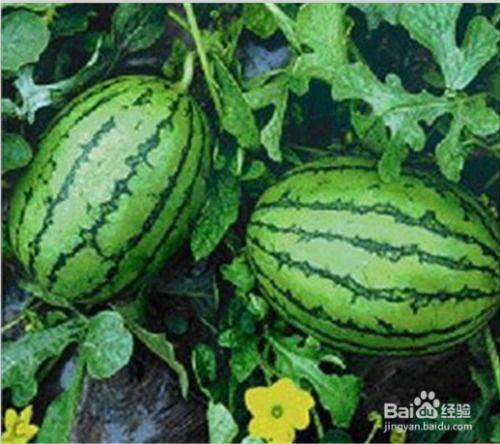 118.sx吃瓜网,揭秘娱乐圈最新热点，带你领略幕后故事