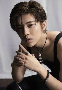 有鹿的明星,探寻有鹿明星的璀璨人生