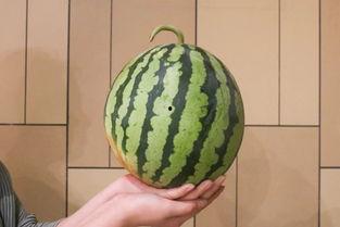 最近迷上吃瓜,揭秘我近期沉迷的“吃瓜”生活