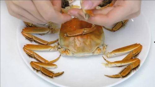 大闸蟹吃不吃哈密瓜,一场味蕾的碰撞与交融