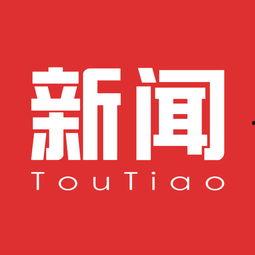 闲聊头条新闻,聚焦热点事件，解码社会现象