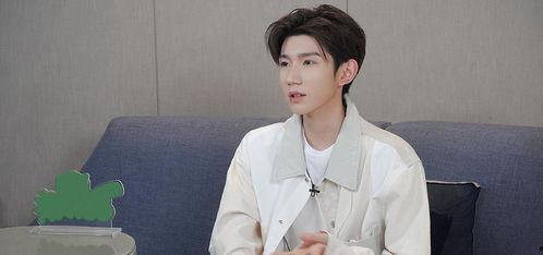 单纯人设男明星,揭秘单纯魅力男明星的闪耀人生