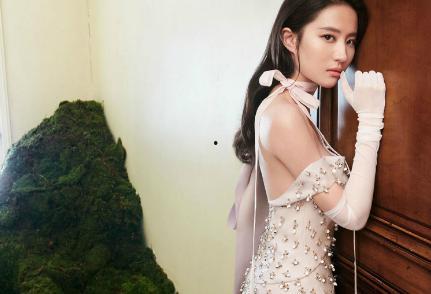 明星叫什么一帆,星光璀璨的演艺之路